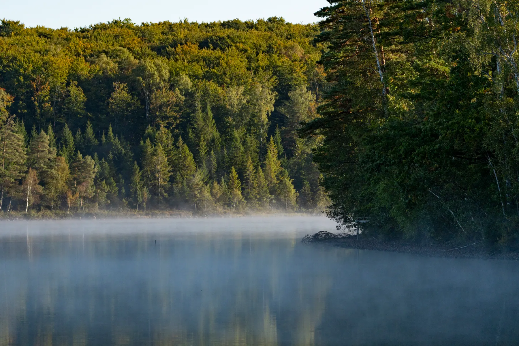 A misty lake and forest in the early morning